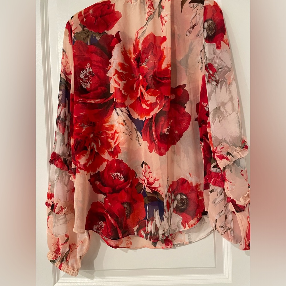 LS Ruffle SLV Blouse - Picture 6 of 7